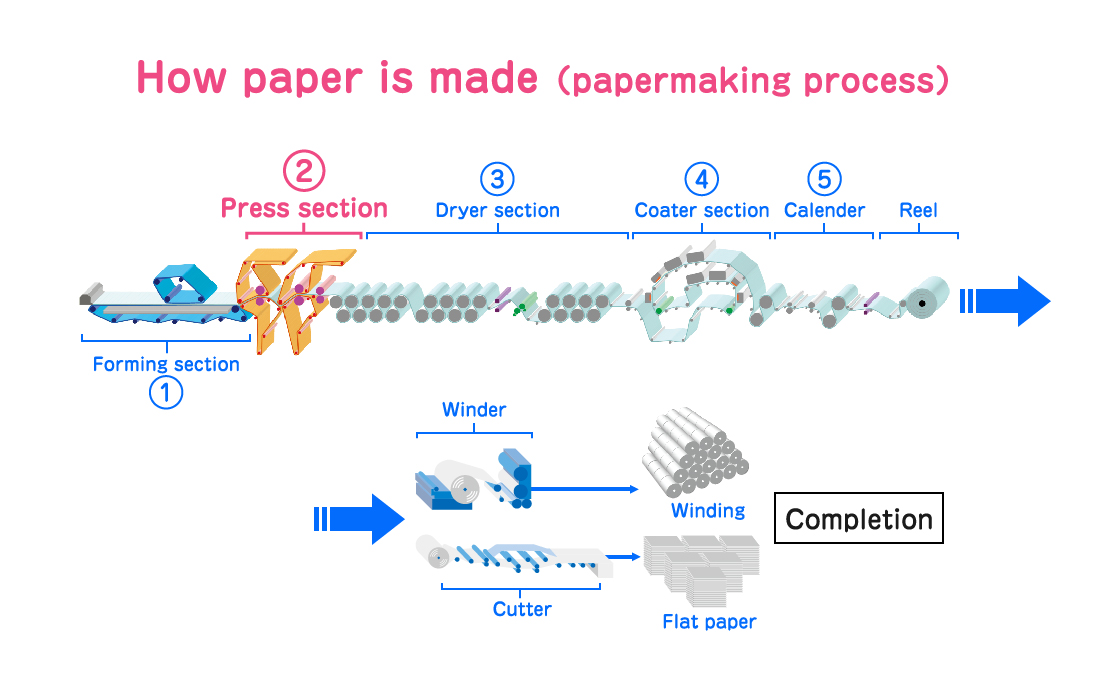 How paper is made (papermaking process)
